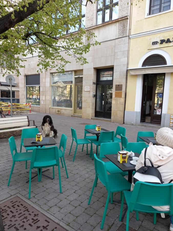 Aha Apartman Debrecen Kültér fotó